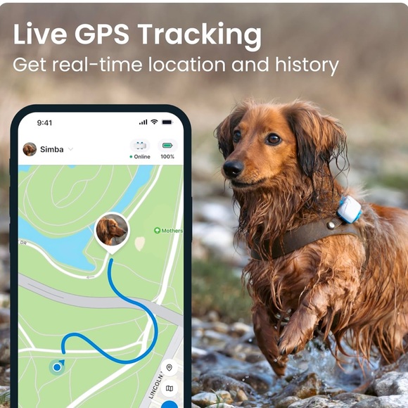 Tractive GPS Pet Tracker for Dogs, Waterproof, GPS Location and Smart Activity - Picture 3 of 8